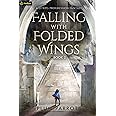 Falling with Folded Wings 2: A LitRPG Progression Fantasy