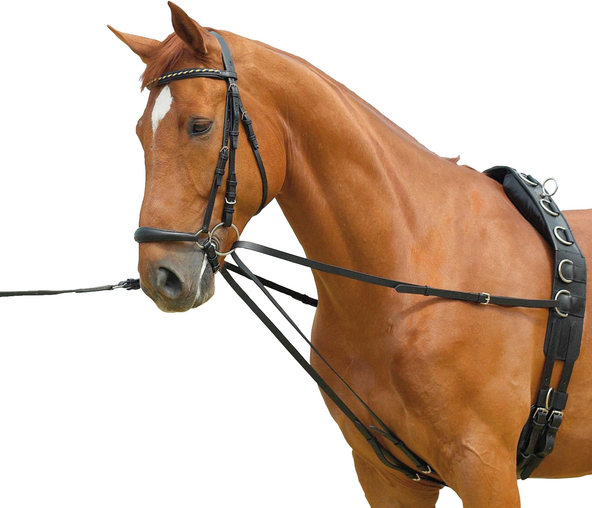 CBL Lunging Draw reins - Lauffer reins
