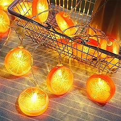 LEKIBOP Fruit String Lights Battery Powered Indoor
