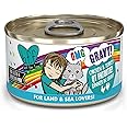 Weruva B.F.F. OMG - Best Feline Friend Oh My Gravy! Grain-Free Wet Cat Food Cans, QT Patootie! Chicken & Turkey, 2.8 oz Can (Pack of 12)