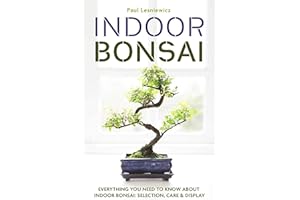 Indoor Bonsai