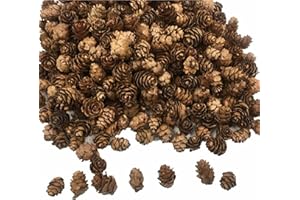 ALBLINSY 300 PCS Mini Pine Cones, Christmas Pine Cones Ornaments for Thangksgiving, Christmas, Autumn, Home Decorations, DIY Crafts and Gifts
