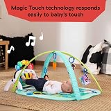 Baby Einstein Farm Explorers 4-in-1 Kickin’ Tunes Musical Meadow Gym view 4