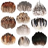 FeelfunFeather 300 pcs Small Feathers - 10 Style