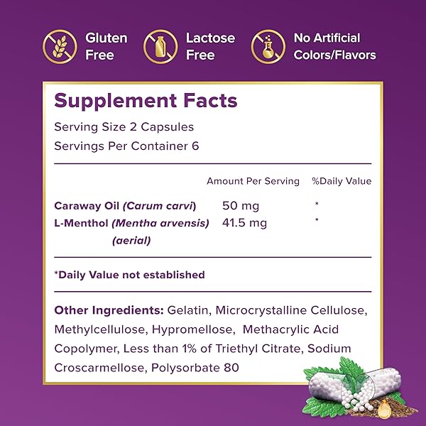 FDGARD GUT HEALTH SUPPLEMENT, INDIGESTION, NAUSEA & BLOATING, UPSET STOMACH, 12 CAPSULES