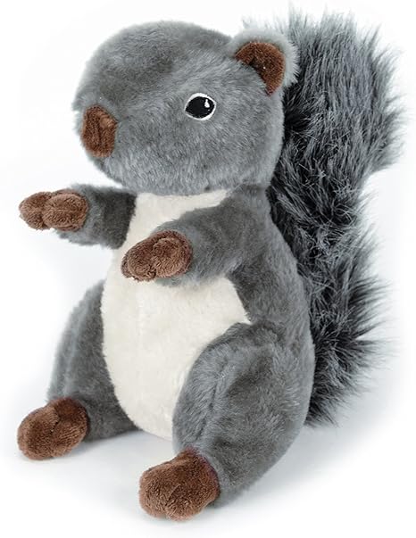 ckc dachshund puppies for sale