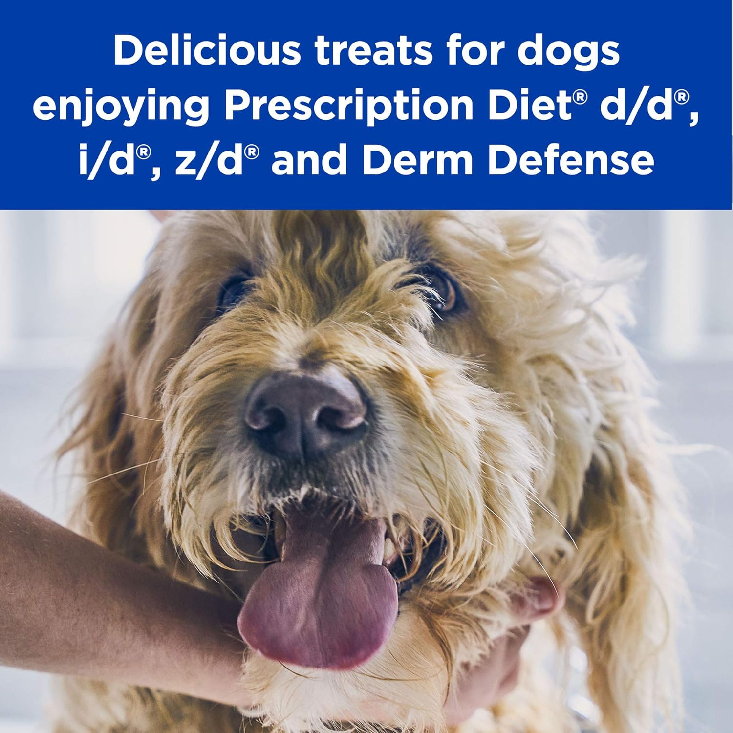 hill's prescription diet hypo treats