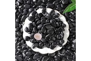 SIDONG 10 LB Black River Rocks, 0.3-0.5 Inches High Polished Pebbles for Indoor Plants, Aquarium Rocks Used in Fish Tank, Decorative Stones for Plants, Vases, Home Décor, Crafting, Garden Landscaping