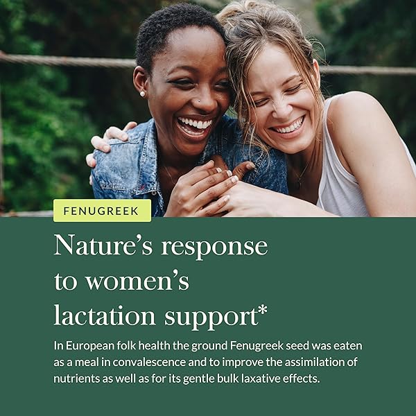 GAIA HERBS FENUGREEK SEED – HELPS SUPPORT HEALTHY LACTATION AND BREAST MILK PRODUCTION* – MADE WITH ORGANIC FENUGREEK SEEDS – 60 VEGAN LIQUID PHYTO-CAPSULES (UP TO 15-DAY SUPPLY)