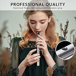 VixxNoxx Irish Tin Whistle in C Key with Music Book