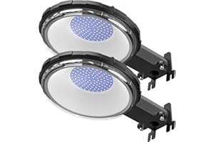 Viugreum 2 Pack 100W 12000LM LED Barn Light,Dusk to Dawn Outdoor Lighting, Garden Light Ip65 Waterproof 5000k Daylight (700w MH/HPS Replacement) Security Light with Photocell