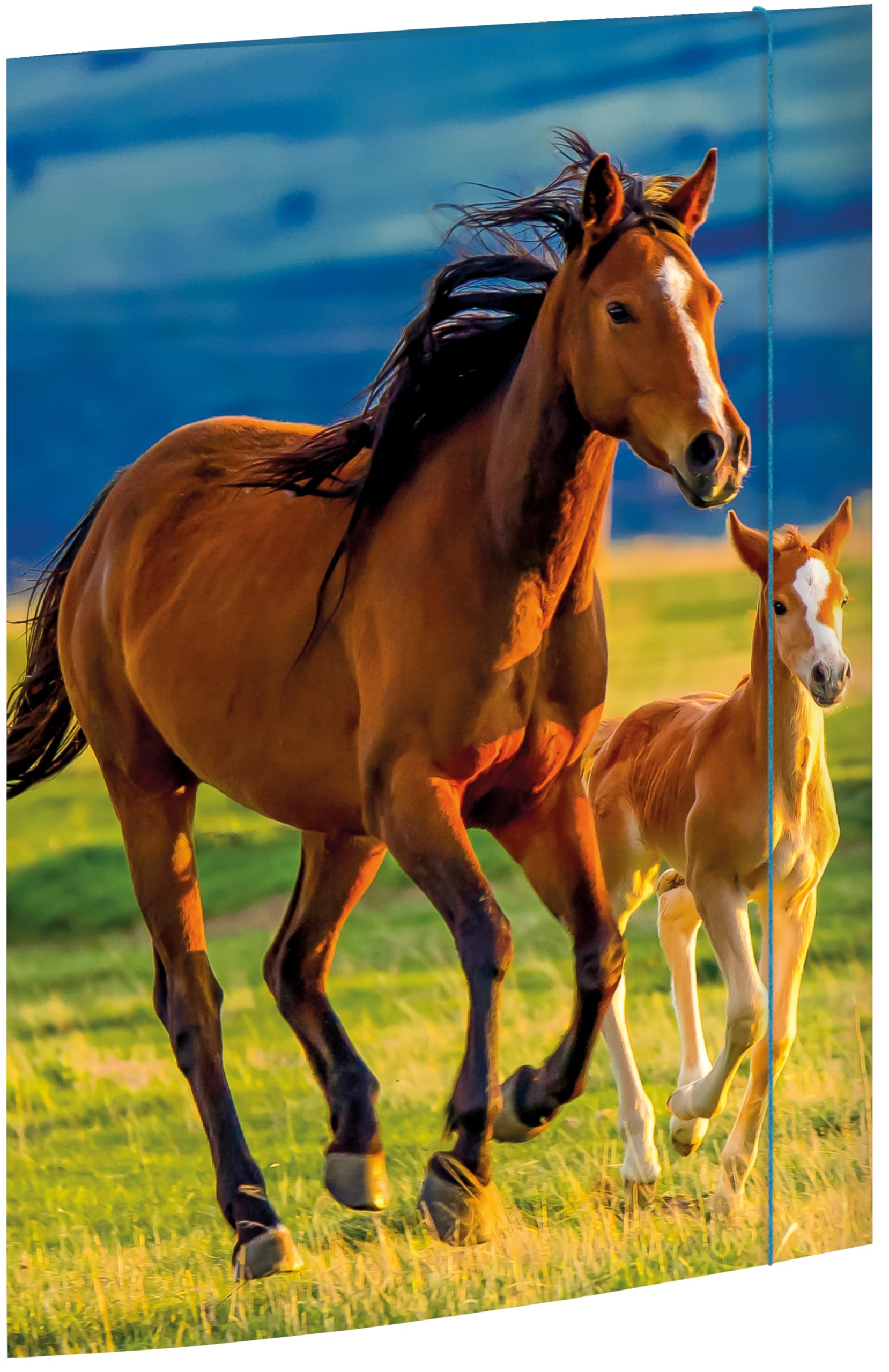 RNK 45353 - Horses" Folder 310 x 440 mm DIN A3 Pack of 1