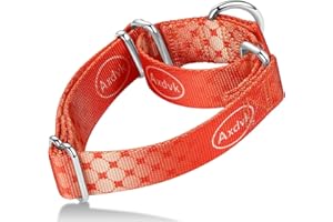 Axdvk Martingale Dog Collar Colorful Gradient Fashionable - Anti-Escape Soft Durable Pets Collar for Walking Training Outdoor Daily Use -Medium,Aurora Fire