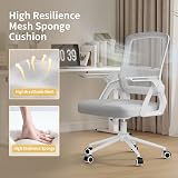 naspaluro Ergonomic Office Desk Chair with Height Adjust, Swivel Mesh view 2