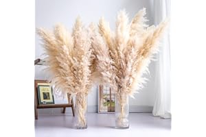 WILD AUTUMN Tall Pampas Grass 10PCS Boho Decor Natural Home Decor Phragmites Dried Flowers Bouquet for Wedding Floral Arrangements Home Decorations (10PCS Tall Pampas Grass)