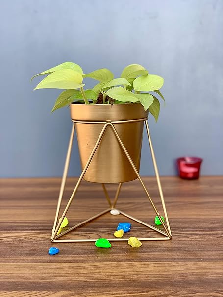 Maple Craft Golden Cylindrical Table Planters & Pot for Living Room with Iron Crossed Stands (21 cm, Small)- Indoor Decorative Planter Outdoor Plant Containers Garden Balcony Decoration