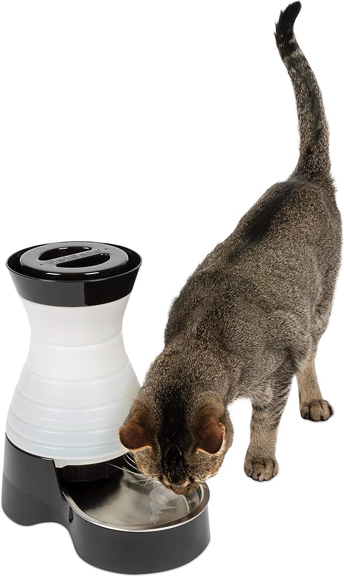 petsafe healthy pet water filter