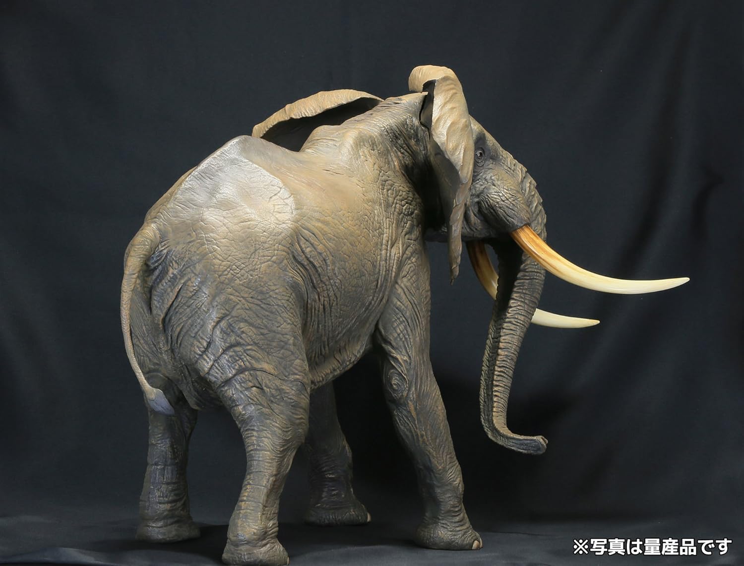 Amazon メガソフビアドバンス アフリカゾウ 約300mm Pvc製 塗装済み完成品フィギュア Msa 007 フィギュア ドール 通販 Amazon メガソフビアドバンス アフリカゾウ 約300mm Pvc製 塗装済み完成品フィギュア Msa 007 フィギュア ドール 通販