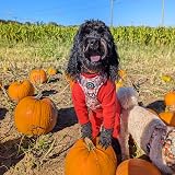 Pet Wiz Warm Four-Legged Dog Fleece Coral X-Large Weather-Resistant view 7