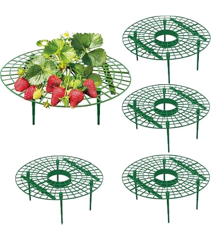 Supports Pour Fraisiers - Lot De 10 - Évite La Pourriture Et Soulève Les Fruits - Vert