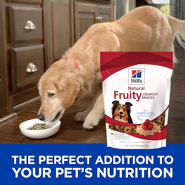 HILL’S NATURAL FRUITY SNACKS, CRUNCHY DOG TREATS, CRANBERRIES & OATMEAL, 8 OZ. BAG