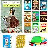 Imperial Designs 40 Pack Funny Punny Birthday Cards with Envelopes and Stickers - 20 Unique Designs - for Office, Teachers, Family & Friends - Assorted Bulk Animal Birthday Cards (Medium, 4x6'', Blank Inside)