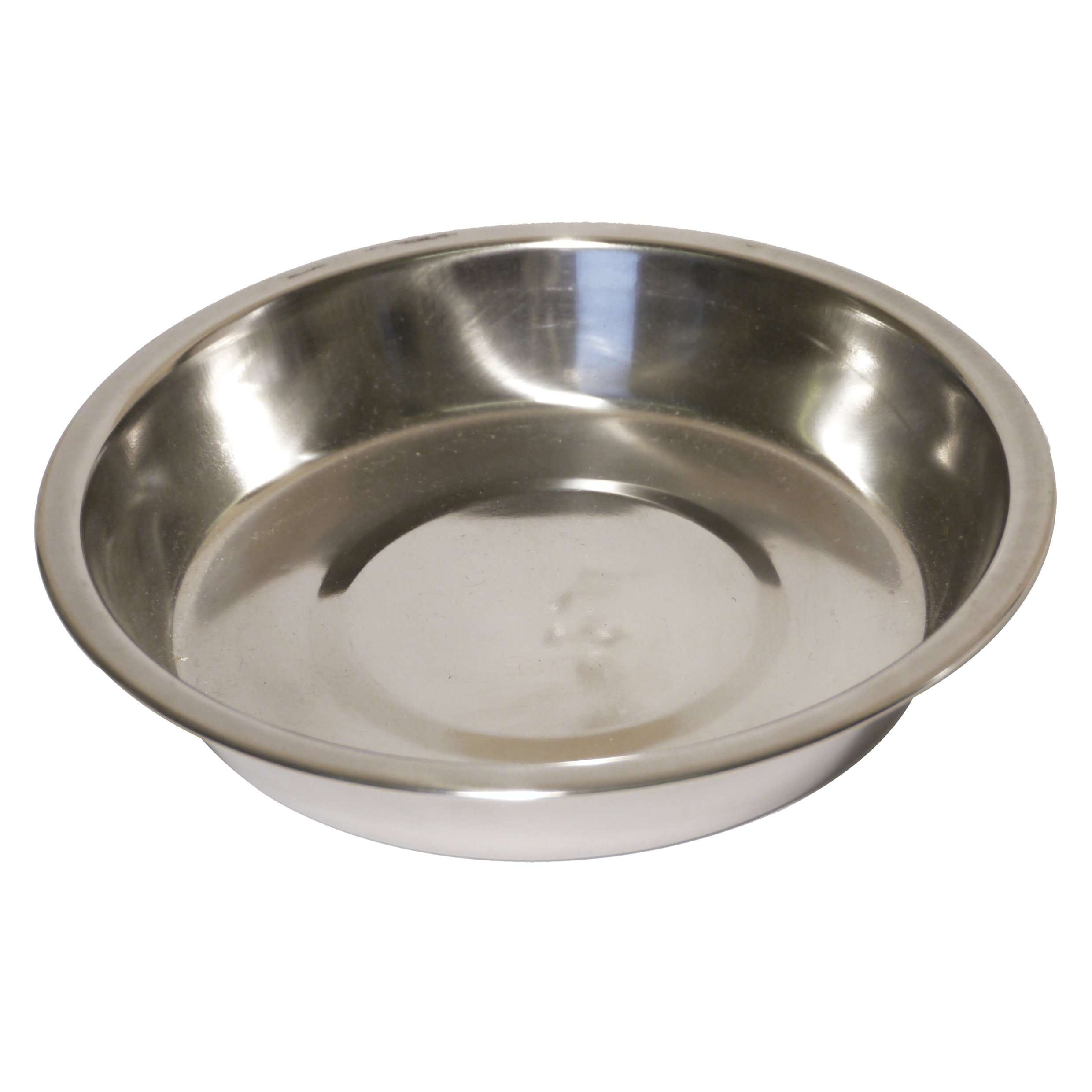 Rosewood Stainless Steel Bowl Shallow Puppy Pan, 8-inch, clear