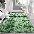 Pettop Large Shag Area Rug, 5x8 Tie-Dyed Plush Fuzzy Rugs for Living Room, Ultra Soft Shaggy Rugs for Bedroom, Non-Slip and Washable Indoor Carpet for Girls Kids Room Home Decor, Light Green