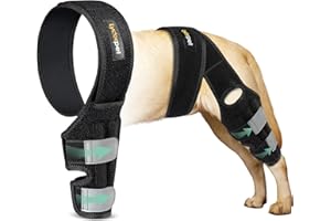 Lyderpet Dog Leg Braces for Back Leg for Support, Dog ACL Brace Hind Leg, Cruciate Ligament Knee Brace for Dogs Rear Leg with Torn ACL, Metal Side Stabilizers Keep The Joint Warm and Stable Small
