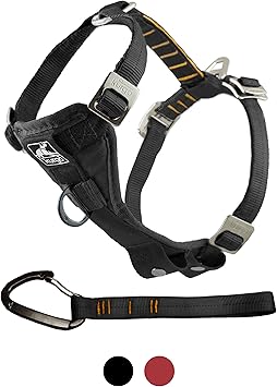 how to teach dog not to pee inside