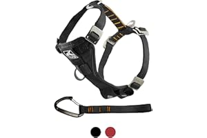 Kurgo Dog Harness | Car Harness for Dogs | Small | Pet Safety Seat Belt | Certified Crash Tested Harness | Car Seatbelt | Tru-Fit Enhanced Strength Style | Black