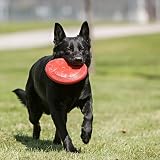 KONG Flyer Durable Natural Rubber Flying Disc Dog Toy Small Dogs view 2