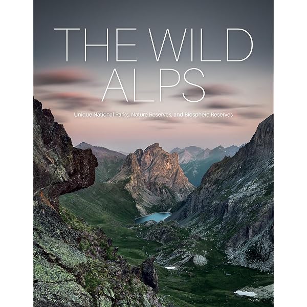 Amazon.com: The Alps (Spectacular Places Paper): 9783741925184