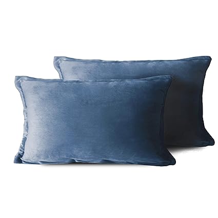 Amazon Com Edow Velvet Throw Pillows Set Of 2 Soft Fluffy Down