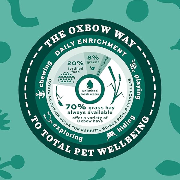 OXBOW GARDEN SELECT RABBIT FOOD, ADULT, MADE TIMOTHY HAY FOR RABBIT, BUNNY FOOD PELLETS, NON-GMO, NO SOY OR WHEAT, SMALL ANIMAL PET PRODUCTS, MADE IN USA, HIGH FIBER, 8 LB. BAG
