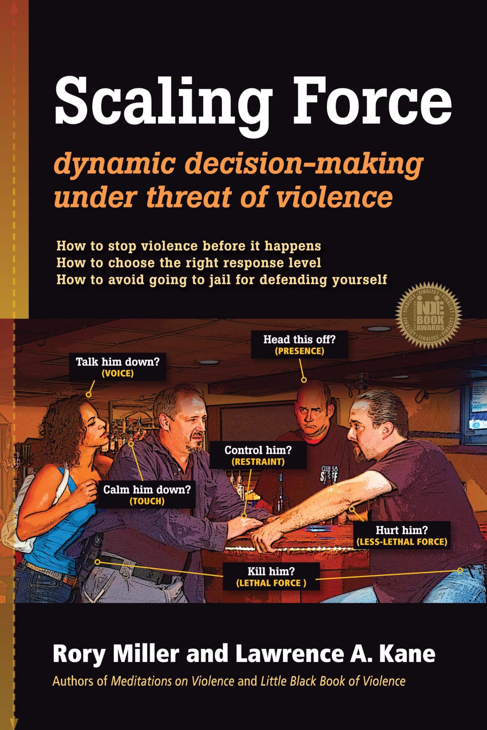Scaling Force: Dynamic Decision Making Under Threat of Violence