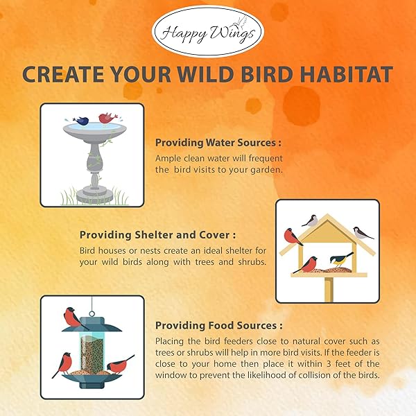 HAPPY WINGS NYJER/THISTLE SEEDS WILD BIRD FOOD – 5 POUNDS I NO GROW SEED I BIRD SEED FOR WILD BIRDS
