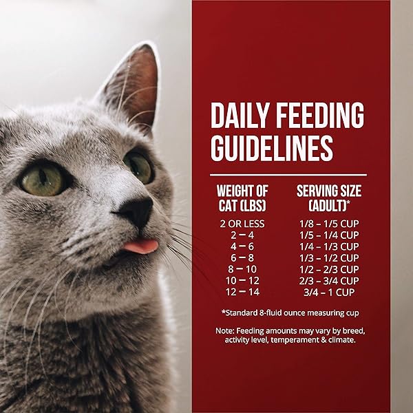 FUSSIE CAT MARKET FRESH CHICKEN & TURKEY MEAL FORMULA GRAIN-FREE DRY CAT FOOD 2LB