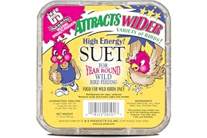 C&S High Energy Suet Treat, Wild Bird Food for Woodpeckers, Nuthatches, Chickadees and Jays, 8 Pack