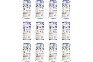 Intex Filter Cartridge Type A (59900E) - Replacement Type A and C For Easy Set Pool Filters - 12 Pack