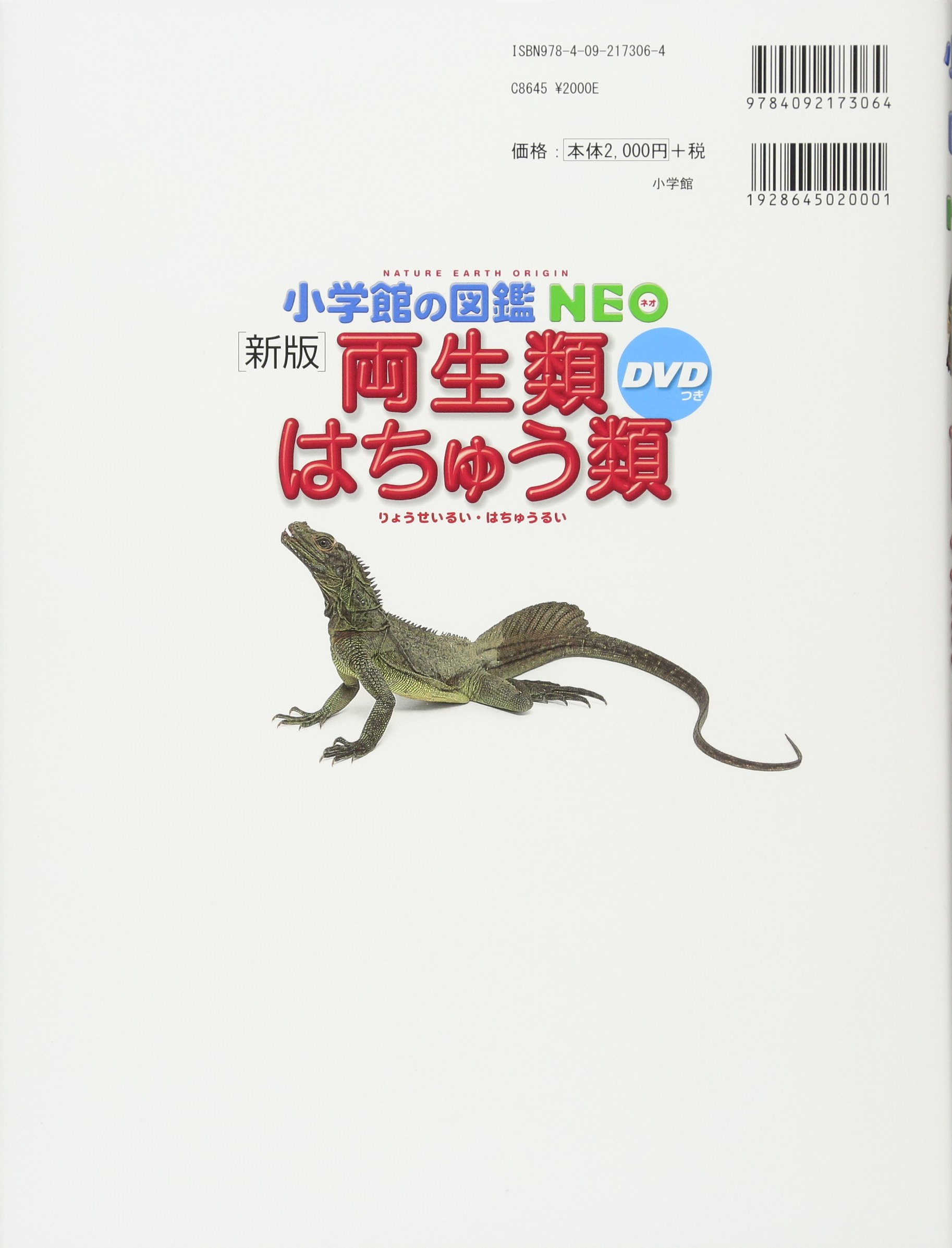 有名な高級ブランド レア本 タイの爬虫類図鑑 爬虫類 両生類用品 Www Qiraatafrican Com