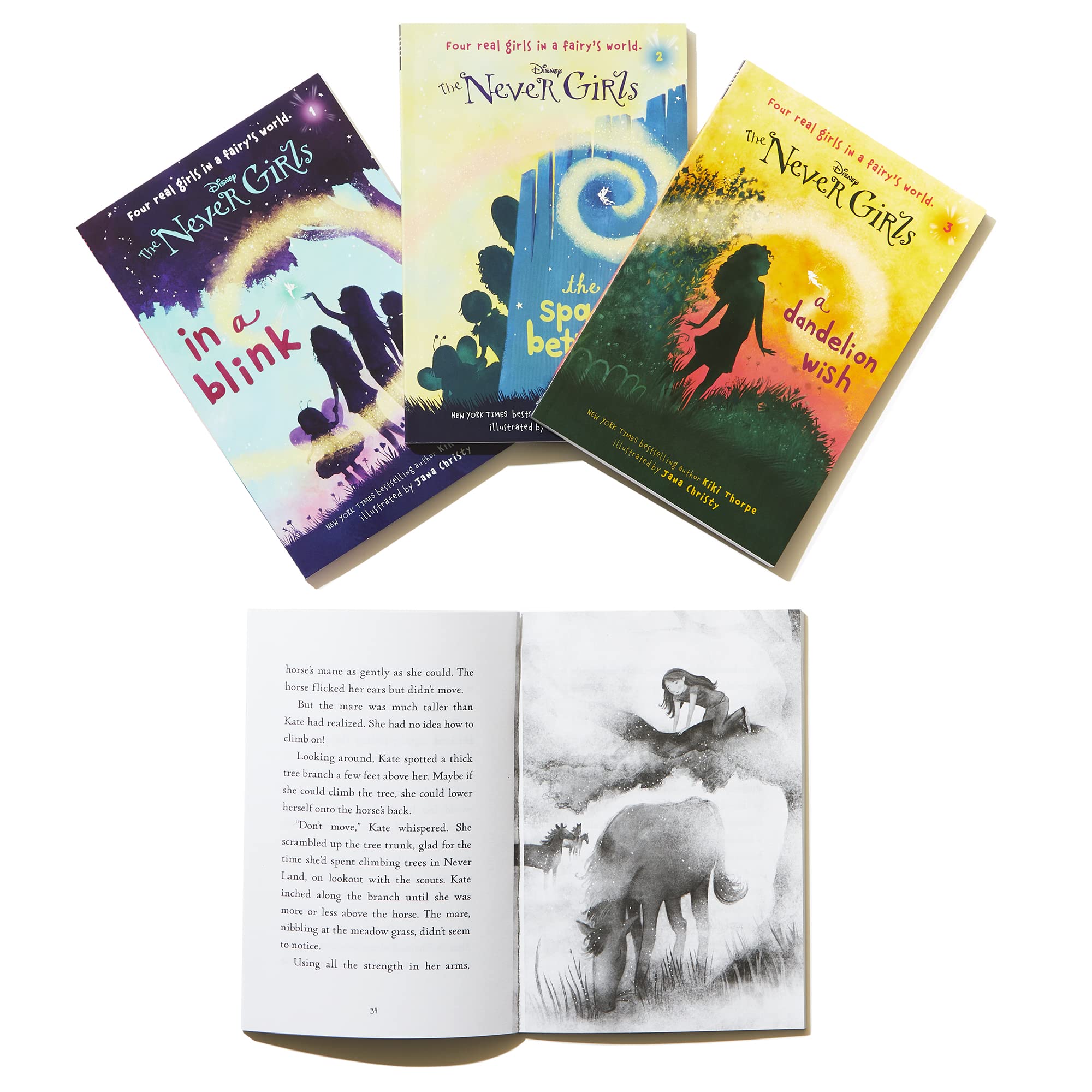RH/Disney, The Never Girls Collection #1: Books 1-4