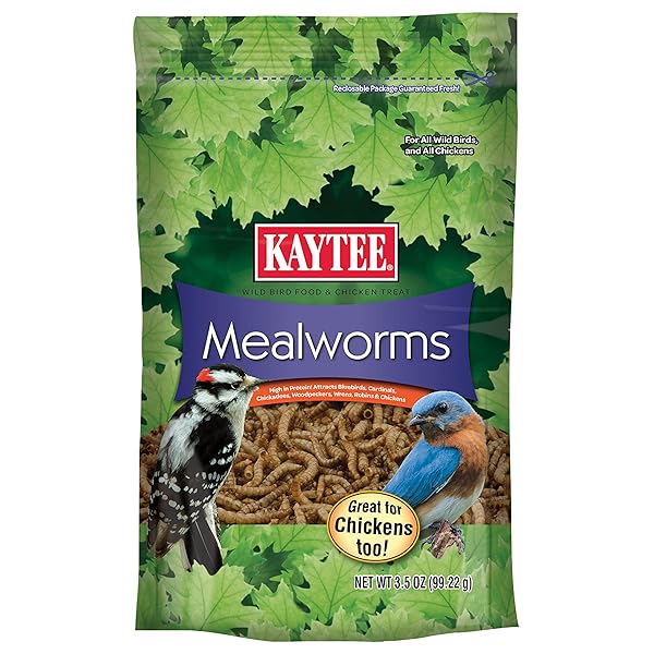 KAYTEE WILD BIRD FOOD MEALWORMS FOR BLUEBIRDS, WRENS, ROBINS, CHICKADEES, WOODPECKERS, CARDINALS & CHICKENS, 3.5 OUNCE