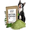 Fiend Catnip Safety-Cut 100% Pure Potent Fine Cat Nip for Cats & Kittens – Small Pack ⅓ Cup (10g) – Ultra Potent, North American – Go Ahead, Create a Monster!
