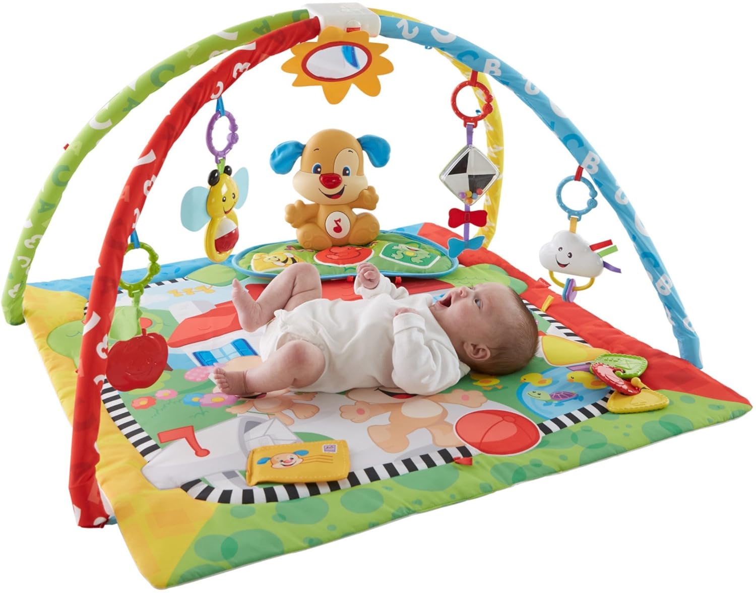 fisher price puppy play mat