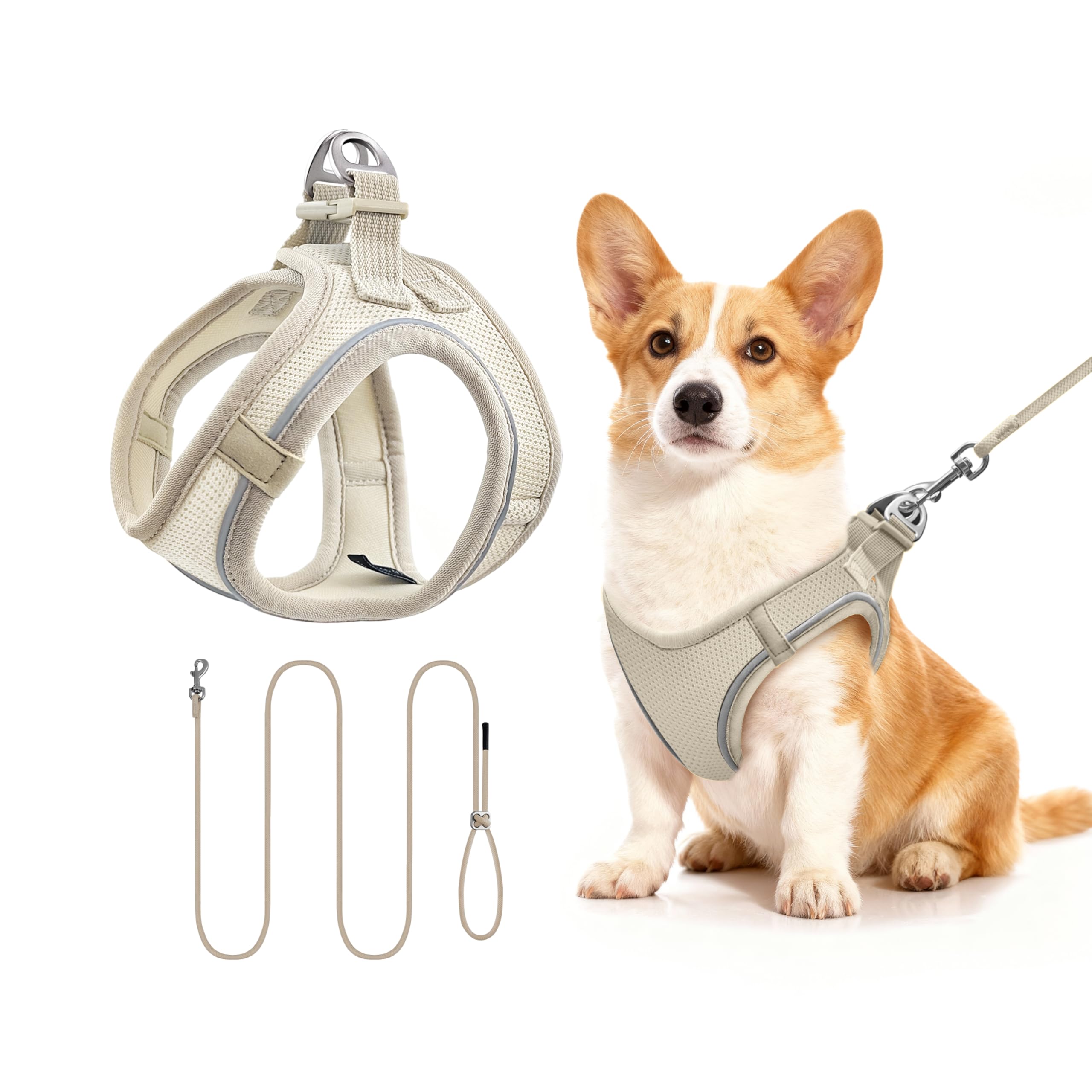 Qianruida Breathable Adjustable Reflective Puppy Harness Vest and Lead for Small Dogs and Cats for Outdoor Walking, Training (Beige M)
