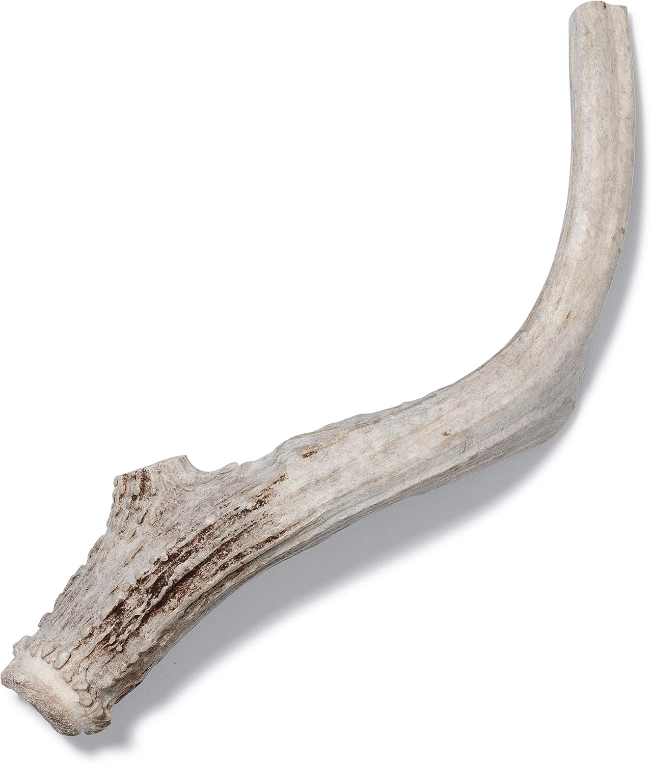 deer antlers safe for puppies