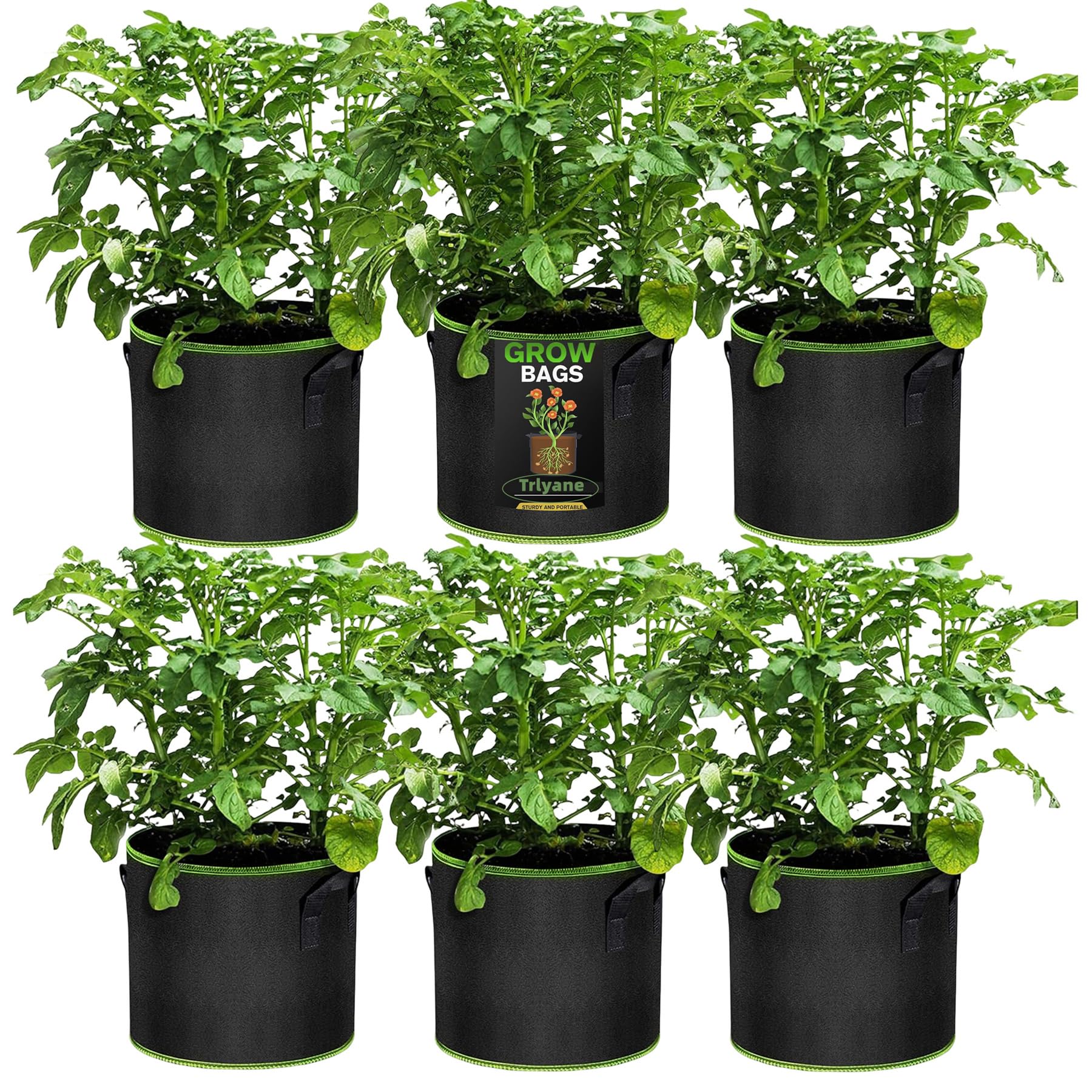 Trlyane Grow Bags, 6 Pack 3 Gallon Nonwoven Fabric Growing Bags Thickened Breathable Plant Pots Outdoor Containers with Handles for Potato Tomato Strawberry, Black