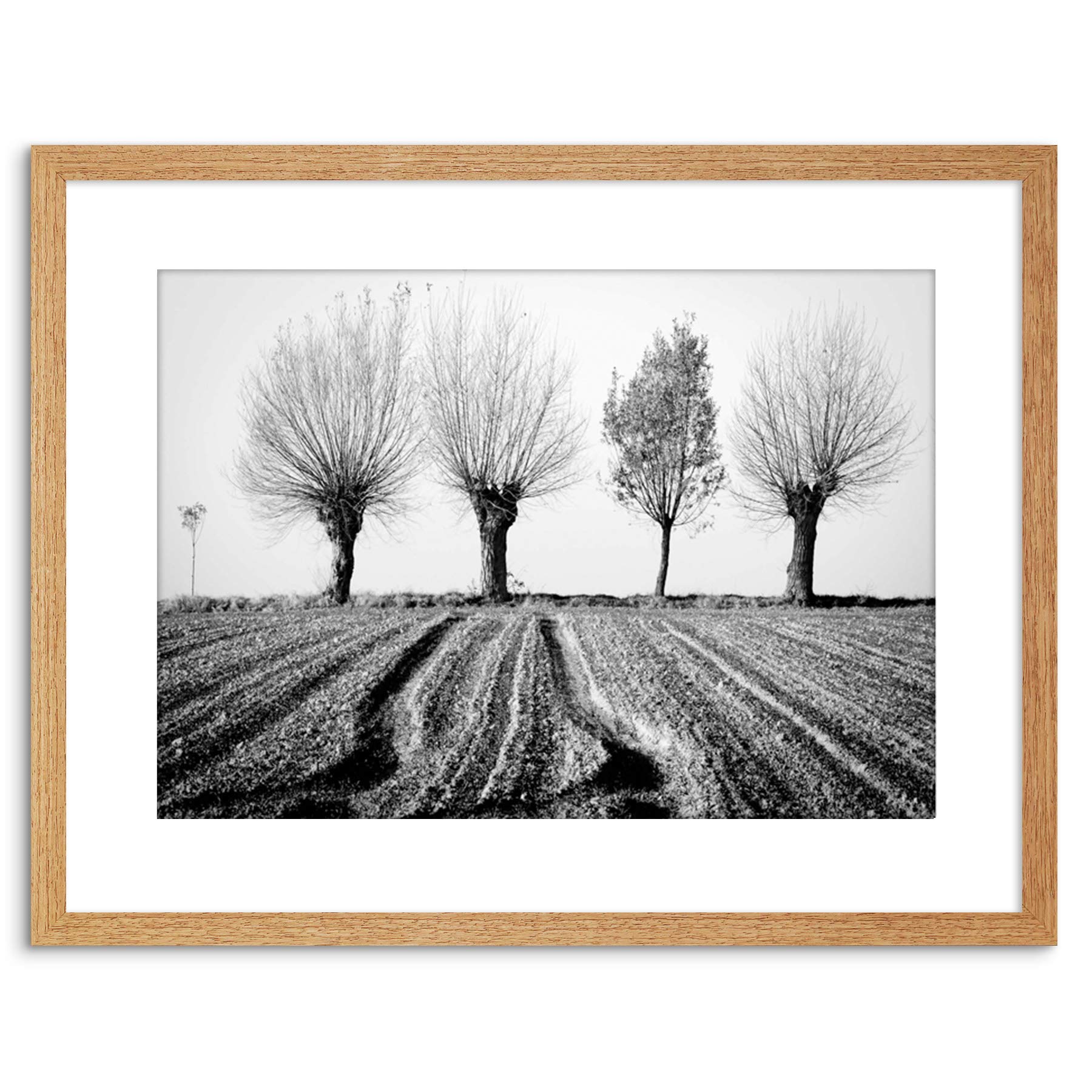 Wee Blue Coo 9x7 '' TREES HORIZON BLACK WHITE FRAMED ART PRINT PICTURE MOUNT PHOTO F97X1560