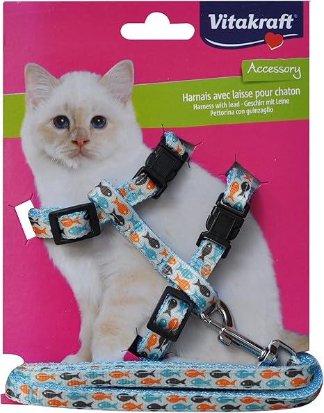 Vitakraft Harnais Laisse Pour Chaton Amazon Fr Animalerie